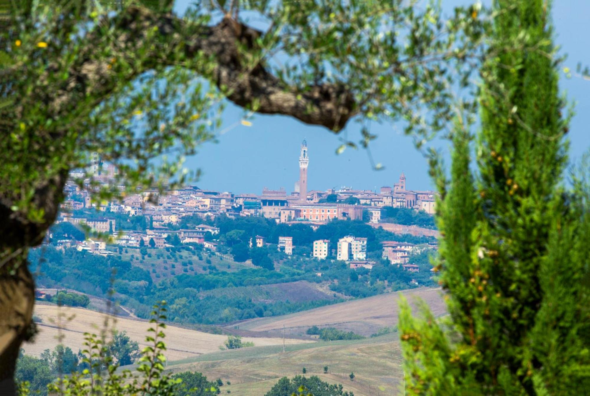 Casavacanze Vesta Isola d'Arbia エクステリア 写真