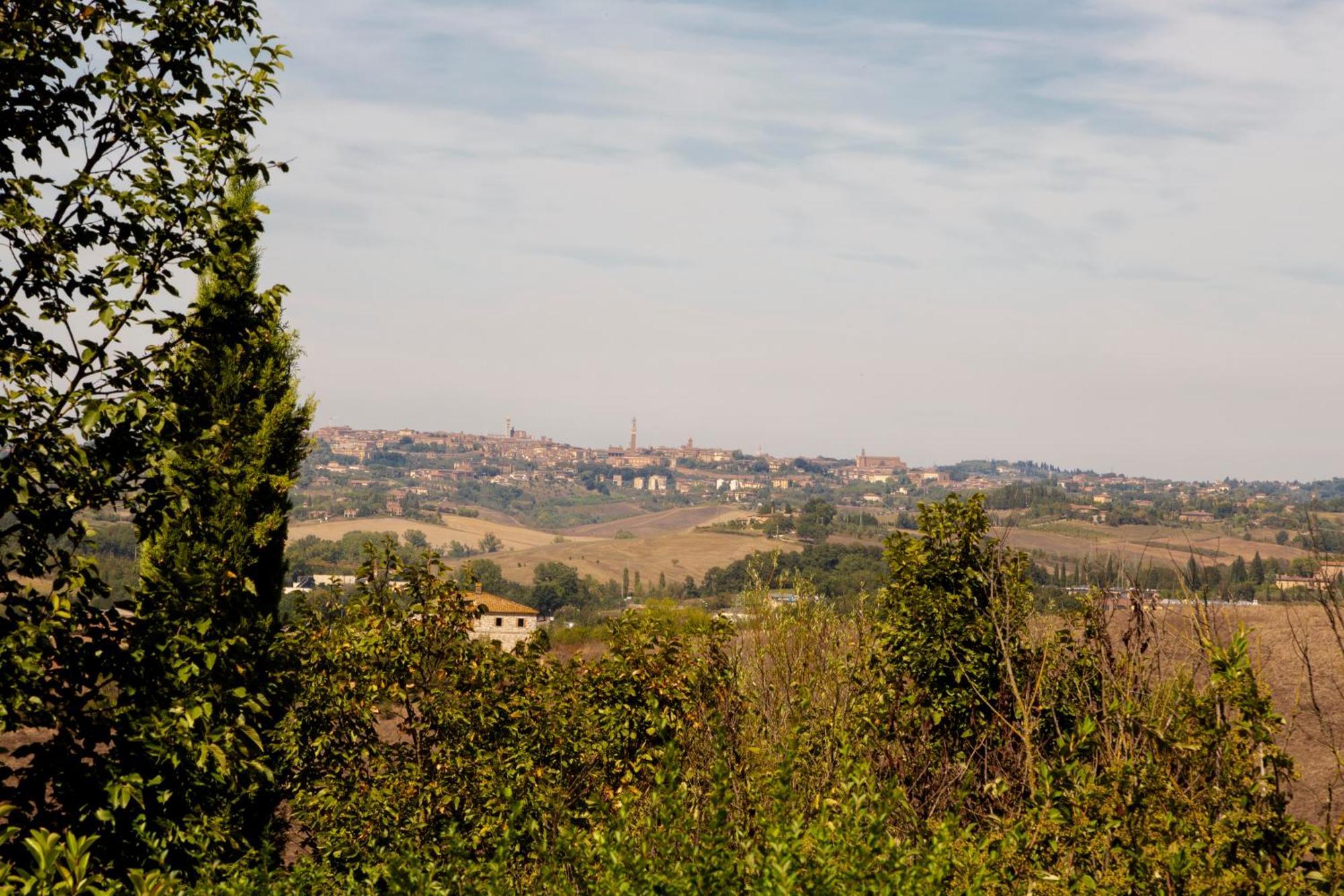 Casavacanze Vesta Isola d'Arbia エクステリア 写真